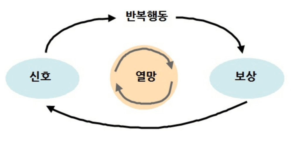폭식 야식 습관 루프 끊는 법 - 신호가 오면 반복행도을 하고 보상을 얻는다. 열망은 더 강해지고